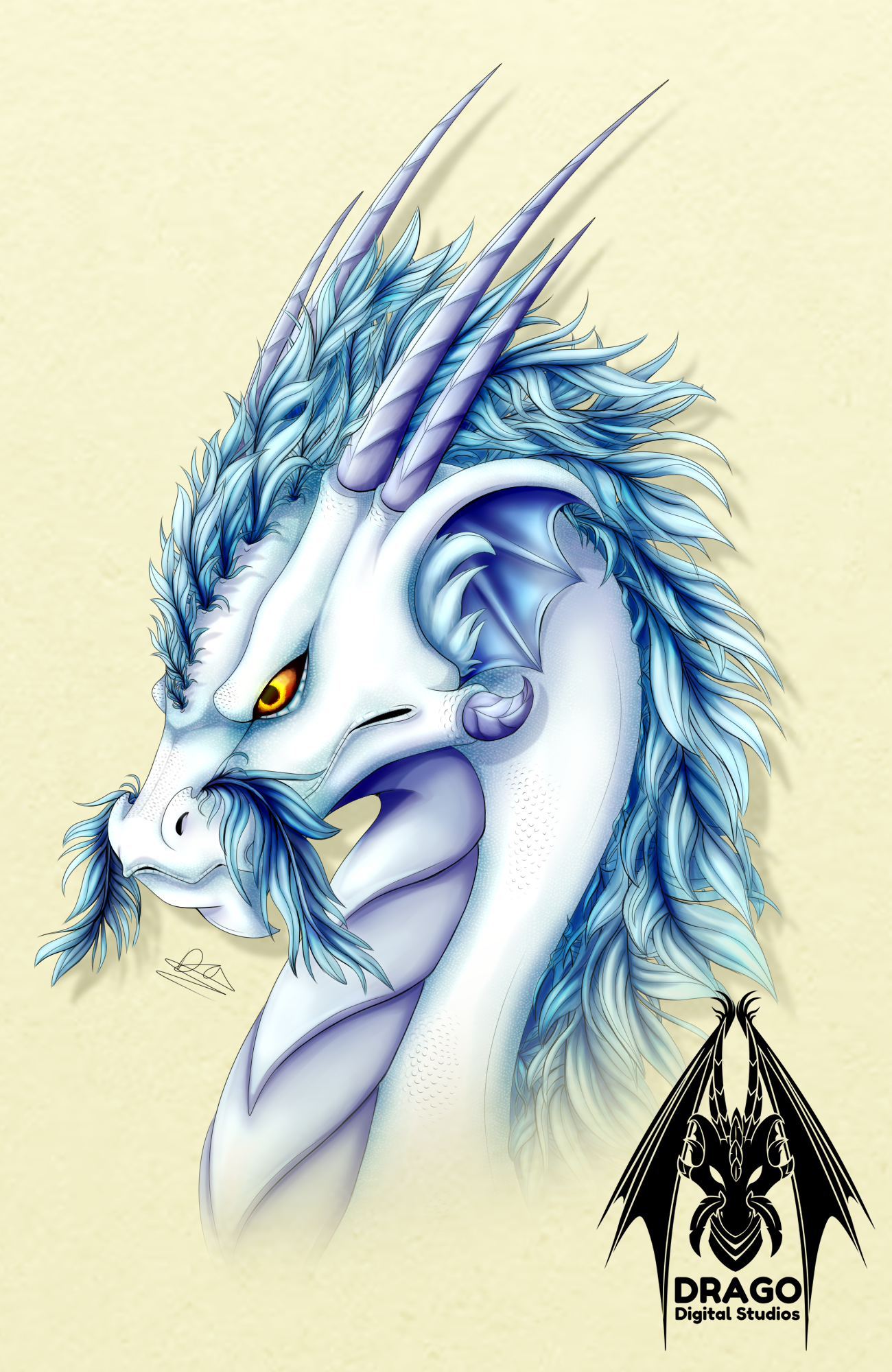 Willow Headshot - Colouring Page